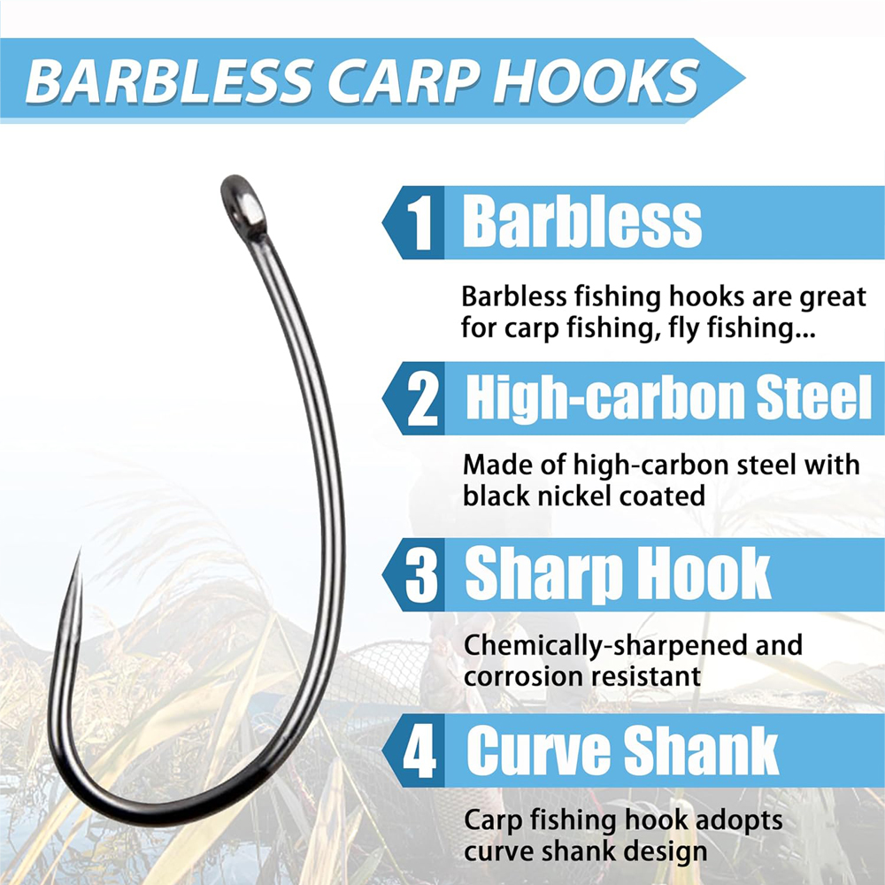 Kit d'hameçons circulaires san - Fishing Hook Circle avis et prix