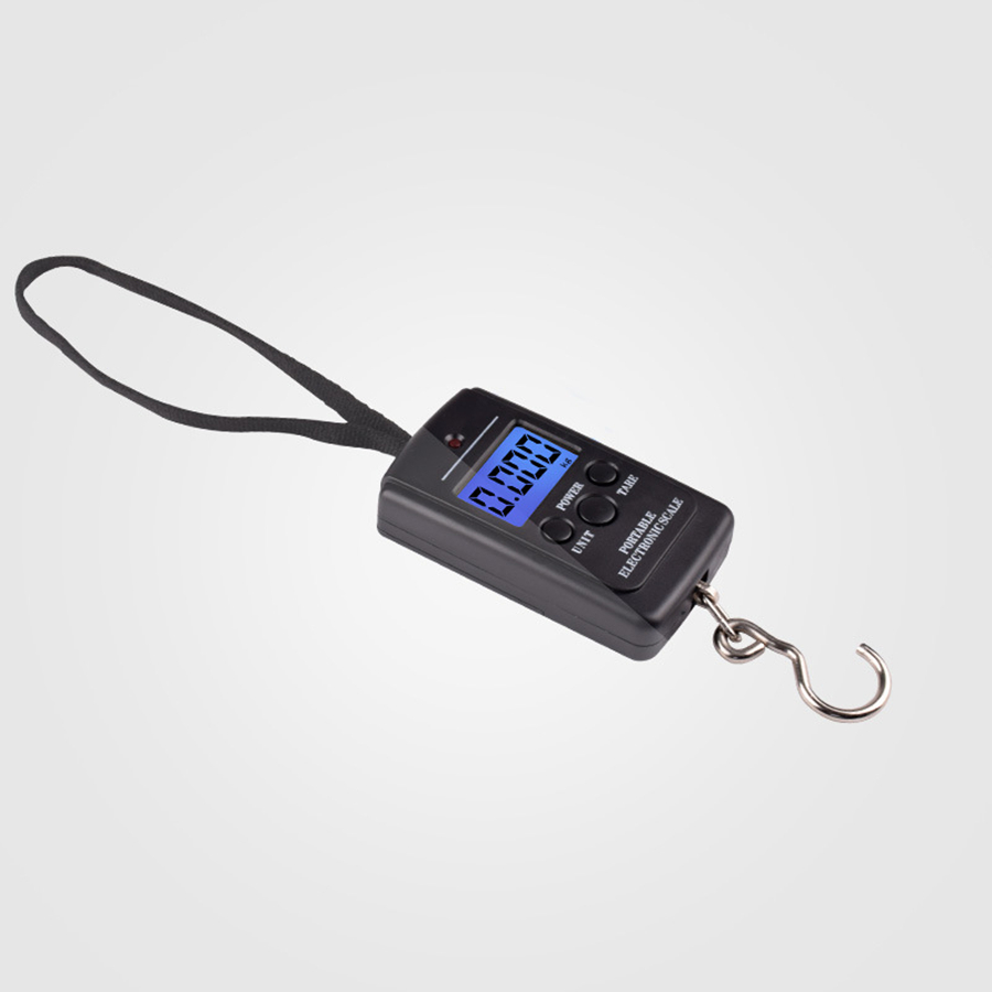 1PC Mini balance électronique  - Fishing Hook avis et prix